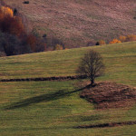 Fot. Tomasz Roszatycki