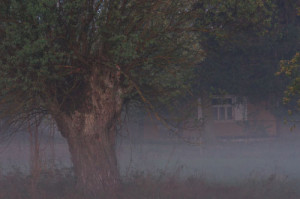 Fot. Urszula Baryłko