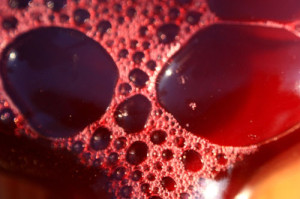 Fot. Urszula Baryłko