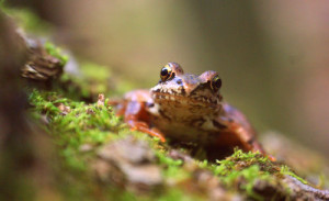 Fot. Weronika Banaszczyk