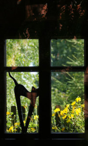 Fot. Weronika Banaszczyk