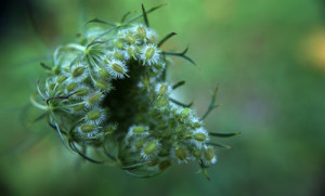 Fot. Weronika Banaszczyk