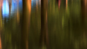 Fot. Weronika Banaszczyk