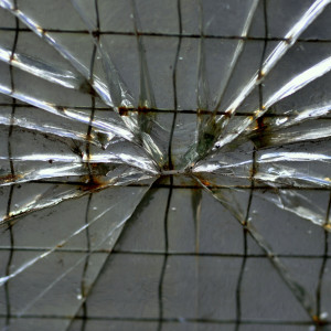 Fot. Karolina Mokrzycka