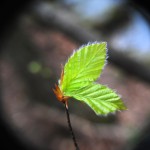 Fot. Agnieszka Rybarczyk