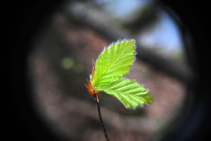 Fot. Agnieszka Rybarczyk