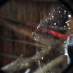 Fot. Agnieszka Rybarczyk