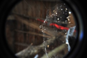 Fot. Agnieszka Rybarczyk