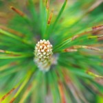 Fot. Agnieszka Rybarczyk