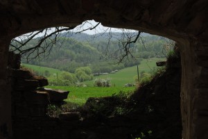 Fot. Agnieszka Rybarczyk