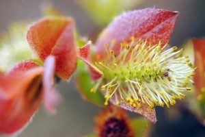 Fot. Agnieszka Rybarczyk