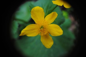 Fot. Agnieszka Rybarczyk