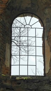 Fot. Bożena Królikowska