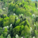 Fot. Bożena Królikowska