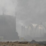 Fot. Bożena Królikowska