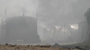 Fot. Bożena Królikowska