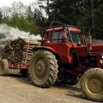 Fot. Bożena Królikowska