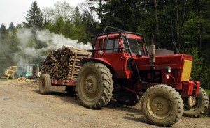 Fot. Bożena Królikowska