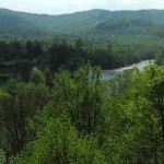 Fot. Bożena Królikowska