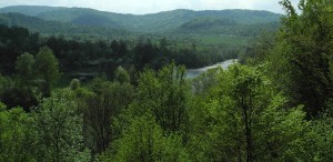 Fot. Bożena Królikowska