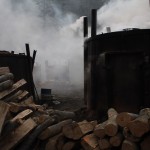 Fot. Elżbieta Wiśniewska