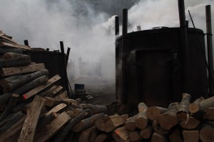 Fot. Elżbieta Wiśniewska