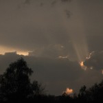 Fot. Elżbieta Wiśniewska