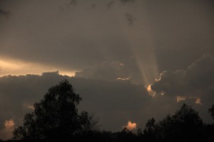 Fot. Elżbieta Wiśniewska