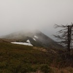 Fot. Elżbieta Wiśniewska