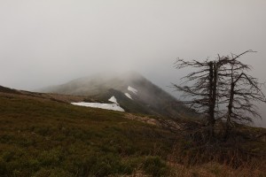 Fot. Elżbieta Wiśniewska