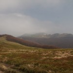 Fot. Elżbieta Wiśniewska