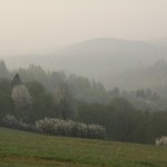 Fot. Elżbieta Wiśniewska