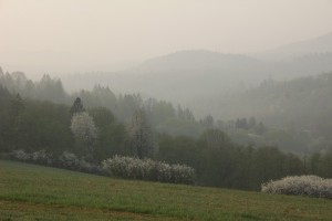 Fot. Elżbieta Wiśniewska