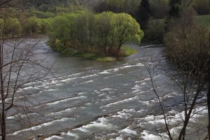 Fot. Elżbieta Wiśniewska