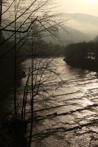 Fot. Elżbieta Wiśniewska