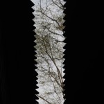 Fot. Elżbieta Wiśniewska