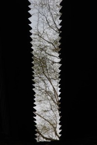 Fot. Elżbieta Wiśniewska