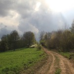 Fot. Elżbieta Wiśniewska