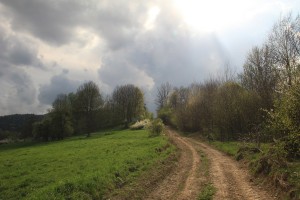 Fot. Elżbieta Wiśniewska