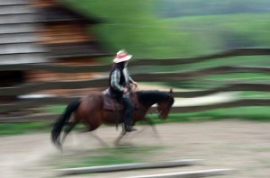 Fot. Jerzy Kołodziejski