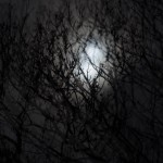 Fot. Jerzy Kołodziejski