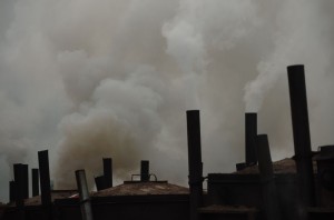 Fot. Jerzy Kołodziejski