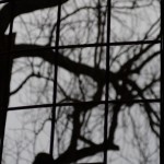 Fot. Jerzy Kołodziejski