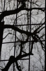 Fot. Jerzy Kołodziejski