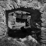 Fot. Jerzy Kołodziejski