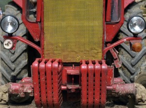 Fot. Kalina Myszkowska