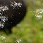 Fot. Kalina Myszkowska