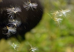 Fot. Kalina Myszkowska