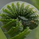 Fot. Kalina Myszkowska