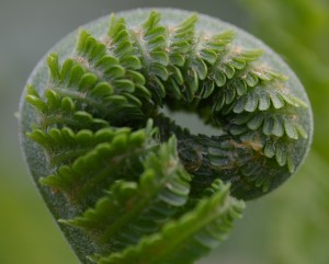 Fot. Kalina Myszkowska